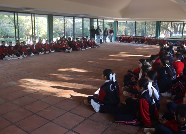 Imagen que representa los valores del colegio